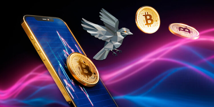 Sparrow wallet y bitcoin.