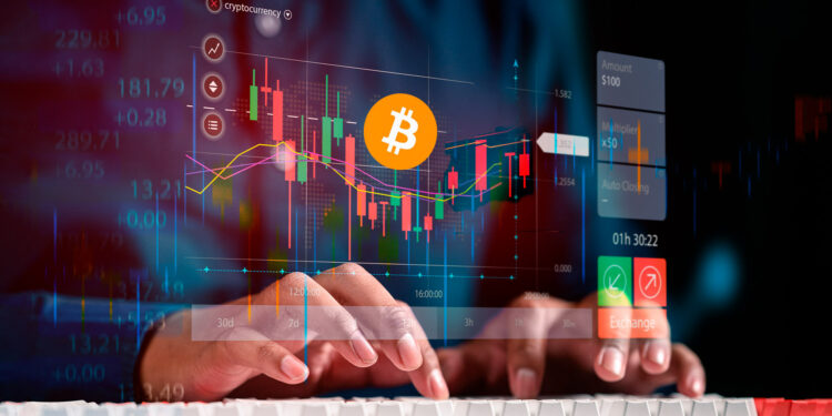 Bitcoin y mercado bajista.