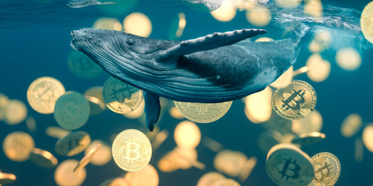 Ballena de bitcoin