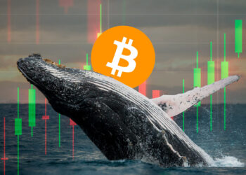 Bitcoin y ballena.