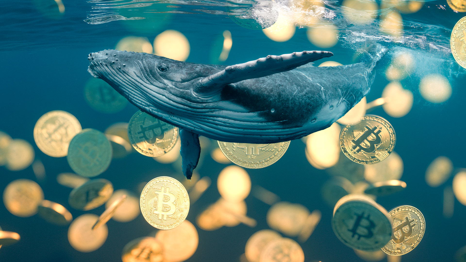Ballenas vuelven a comprar bitcoin en los USD 25.000