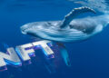 Ballena y NFT