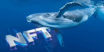 Ballena y NFT