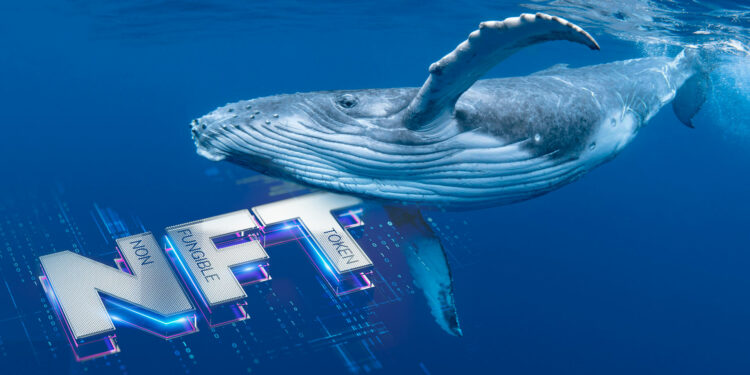 Ballena y NFT