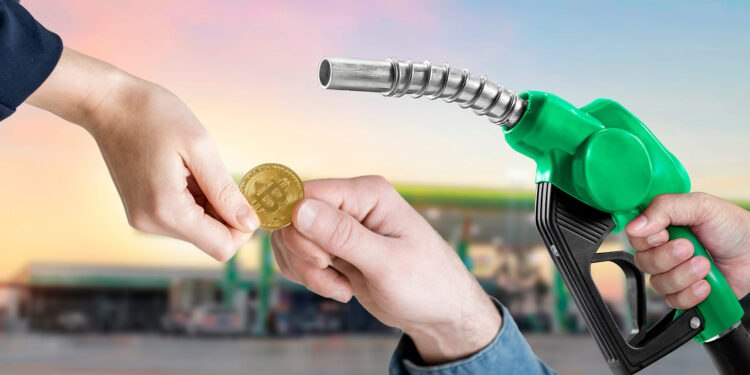 El exchange canadiense Bull Bitcoin llegó a Costa Rica en alianza con la ciudadela Bitcoin Jungle, en el despegue de su expansión internacional. Composición por CriptoNoticias.  rh2010 / Retouch man / stock.adobe.com.