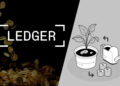 Ledger wallet earn