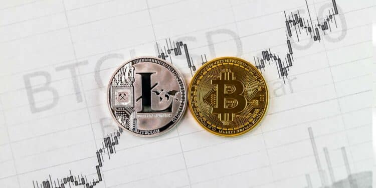 Litecoin y bitcoin muestran comportamientos de mercado parecidos, con relación a su halving. Fuente: mk1ne / stock.adobe.com.