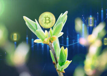 moneda de bitcoin sobre brote naciente coin grafico de precio en el fondo