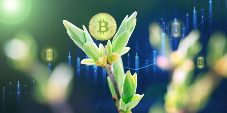 moneda de bitcoin sobre brote naciente coin grafico de precio en el fondo