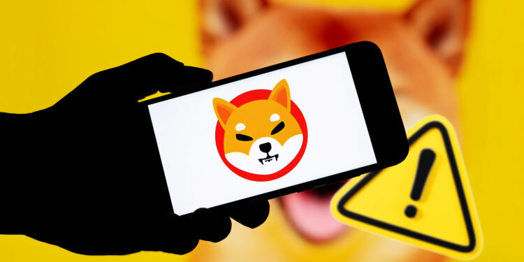 Shiba inu.