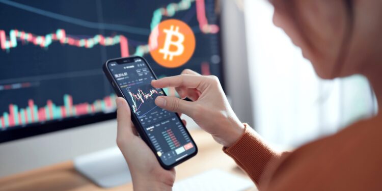 ¿Qué esperar para el precio de bitcoin tras el próximo halving? Composición por CriptoNoticias. oatawa / stock.adobe.com ; pngegg.com.