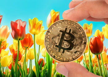 Bitcoin y tulipanes