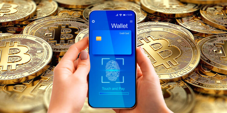 Wallet de bitcoin.