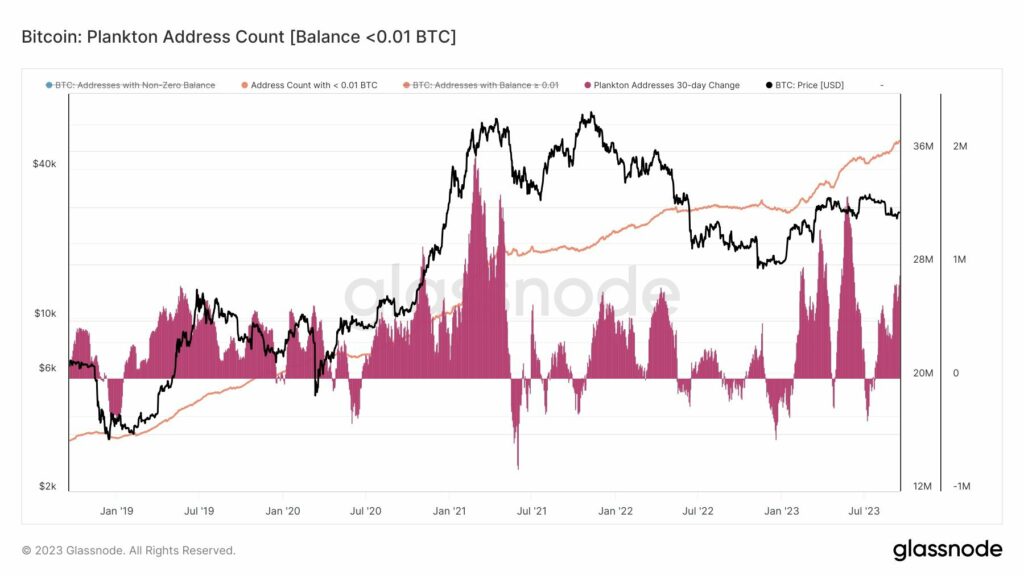 bitcoin-microinversores