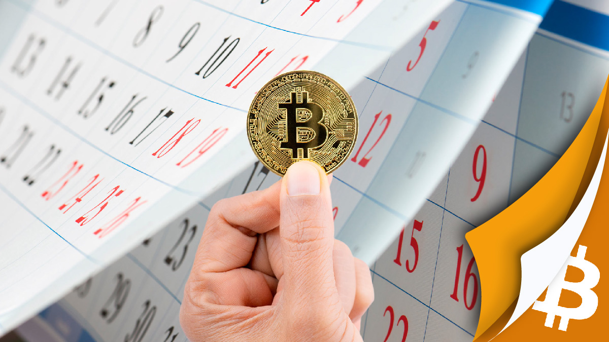 15 años del White Paper de Bitcoin: ¿Qué podías comprar con 1 BTC cada año?