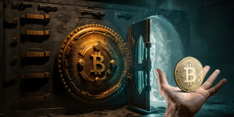 mano sosteniendo moneda de bitcoin con refugio con logo de bitcoin en el fondo