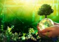 manos sosteniendo esfera con logo de bitcoin y arbol emergiendo entre vegetación con mineros asic en el fondo
