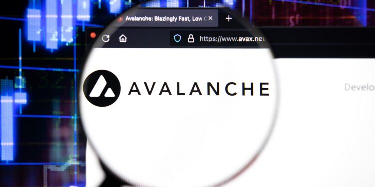 Se incrementan las transacciones diarias en Avalanche - stock.adobe.com
