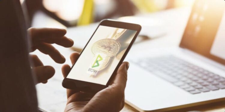 BTCPay Server es un procesador de pago enfocado en brindar soluciones a comerciantes. Composición por CriptoNoticias con imágenes por BTCPay, rcfotostock y Rymden / stock.adobe.com