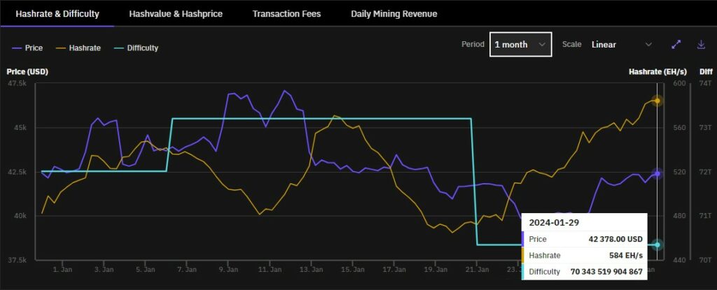 Gráfico del mes de enero que indica el incremento de este valor en Bitcoin