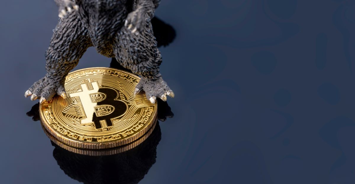 Mostro est né, l’échange Bitcoin que votre gouvernement ne veut pas que vous utilisiez