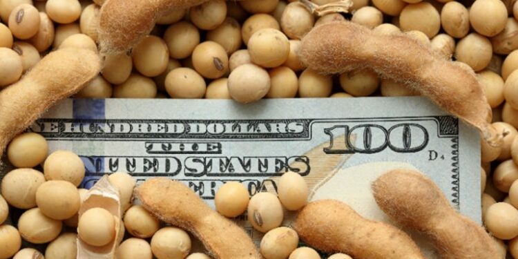 El bushel de soya se cotiza en más de USD 11. Fuente: RCNoticias.