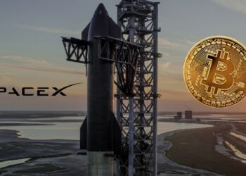 Musk no dio detalles de cuánto bitcoin almacena actualmente SpaceX. Fuente: SpaceX/Composición por CriptoNoticias.
