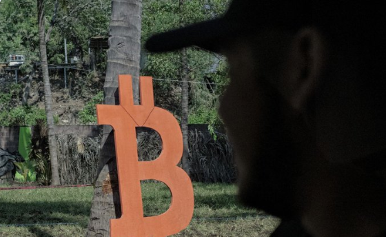 La Bitcoin City, los Bonos Vocán y mayor adopción son los desafíos que se le presentan al segundo mandato de Bukele. Fuente: CryptoBumbleble/X.