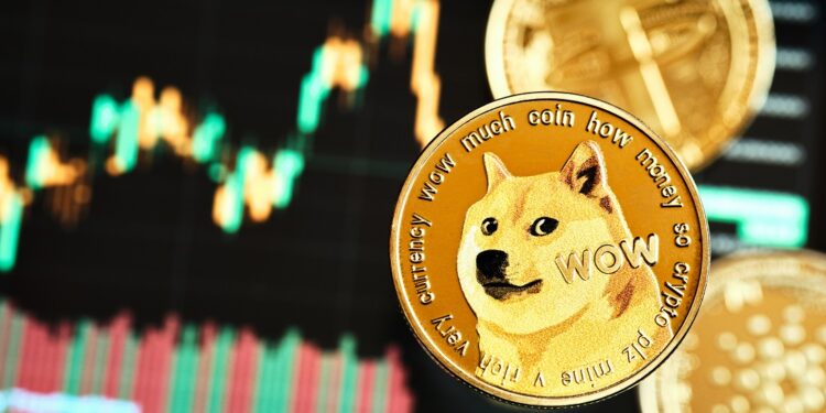 Dogecoin se prepara a la expectativa de una época alcista - Fuente: stock.adobe.com