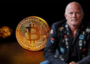 Michael Novogratz considera que el nuevo piso de bitcoi nno decenderá de USD 50.000. Composición por CriptoNoticias digital designer / pixabay.com ; @novogratz / Twitter