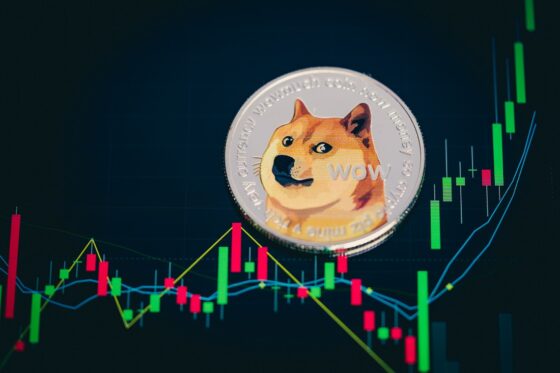 ¿Podría dogecoin llegar a 1 dólar en este ciclo alcista?