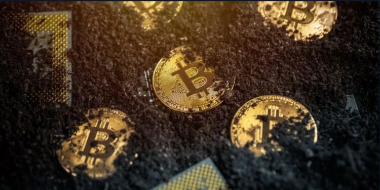 Los mineros ganaron más de USD 67 millones el 12 de marzo. Fuente: grafvision/ Envato elements.