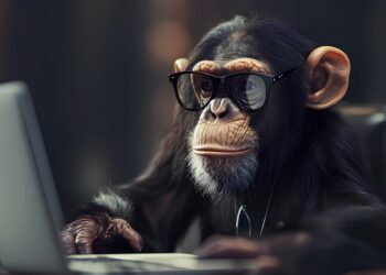 Virunga es el hogar de más de 1.000 gorilas africanos. Fuente: HM Design/ Adobe Stock.