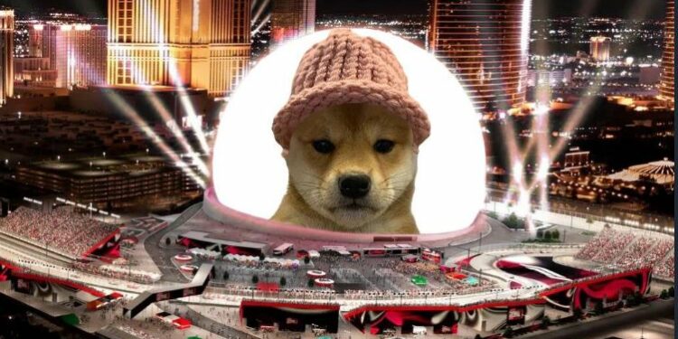 Las donaciones a la iniciativa de Dogwifhat van desde USD 1 y hasta los USD 10.000. Fuente: DogwifHat.