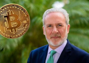 Peter Schiff vuelve a contradecirse en su postura y narrativa en contra de BTC. Fuente: Composición CriptoNoticias.