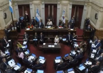 La votación en el Senado fue unánime a favor de la modificación. Fuente: X.