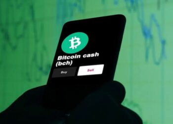 BCH es una bifurcación de la red Bitcoin, que nació en el año 2017 debido a una división técnico-ideológica en la comunidad de Bitcoin. Fuente:  stock.adobe.com