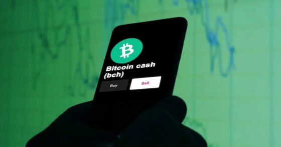 Cae drásticamente el hashrate de Bitcoin Cash tras el halving  