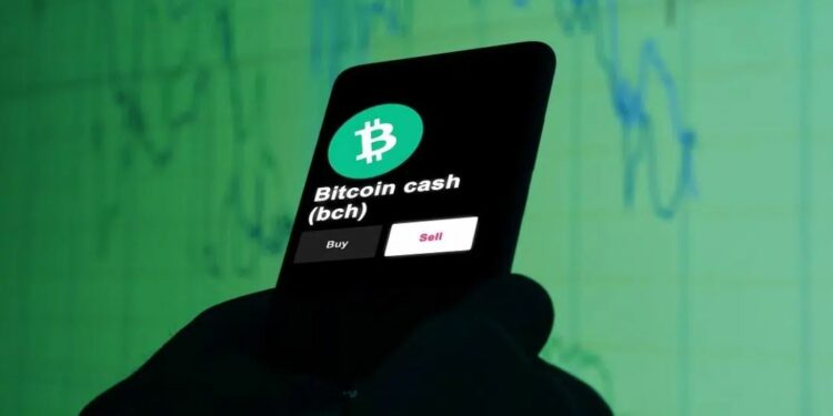 BCH es una bifurcación de la red Bitcoin, que nació en el año 2017 debido a una división técnico-ideológica en la comunidad de Bitcoin. Fuente:  stock.adobe.com