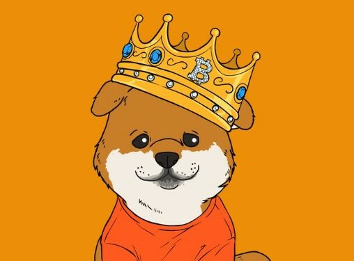 memecoin-perrito-dog-rune-bitcoin