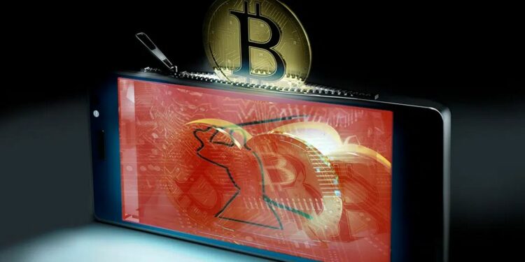 Samourai Wallet es una de las billeteras que más resguarda la privacidad de los usuarios de bitcoin. Fuente: serpeblu / stock.adobe.com; samouraiwallet.com.