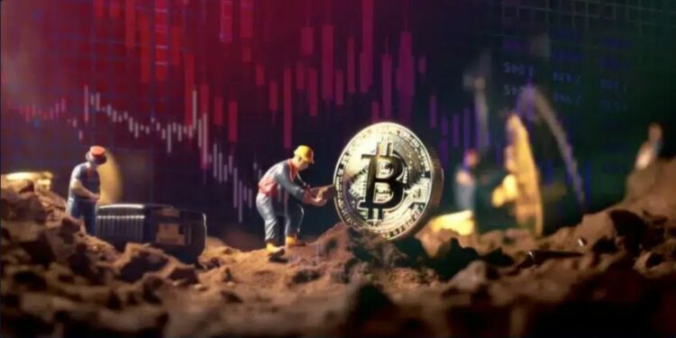 El poder de cómputo de Bitcoin experimenta un notable descenso en los primeros 30 días posteriores al halving. Composición por CriptoNoticias. denisismagilov/ stock.adobe.com; Somchai/ stock.adobe.com