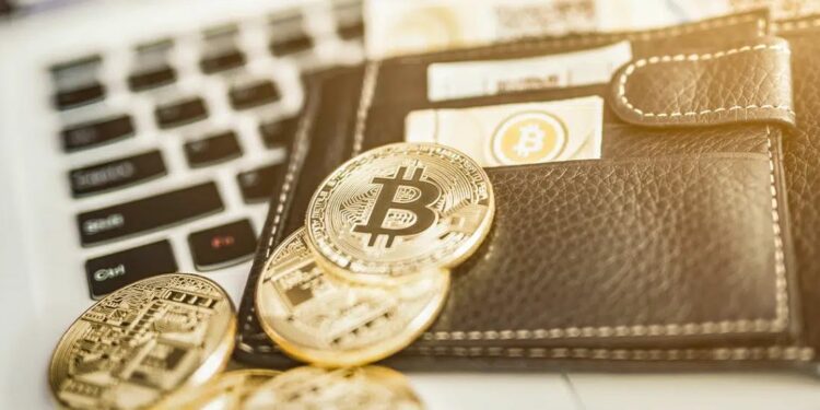 Las wallets indicaron que el servicio de CoinJoin, mediante el cual se puede ocultar el vínculo de una persona a una transacción determinada. Fuente: Composición por CriptoNoticias. Fuentes: redpixel / stock.adobe.com.