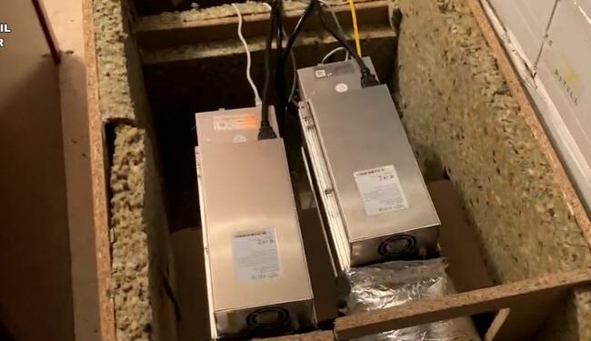 Los dueños de estas granjas fueron detenidos, según el parte oficial. Fuente: Guardia Civil.