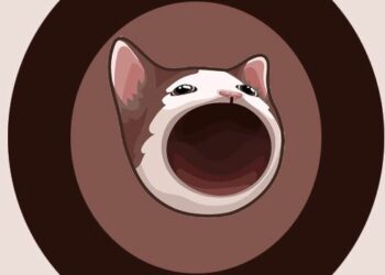Popcat es una memecoin basada en la red Solana. Fuente: Captura de pantalla del sitio oficial de Popcat.