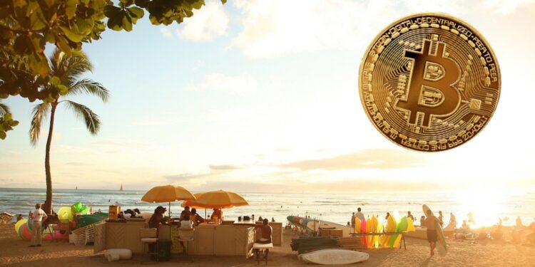 Desde 2017 Hawái ha mostrado simpatía por el ecosistema de las criptomonedas. Fuente: Archivo / Composición CriptoNoticias.