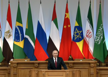 Brics-desdolarización-vladimir-Putin
