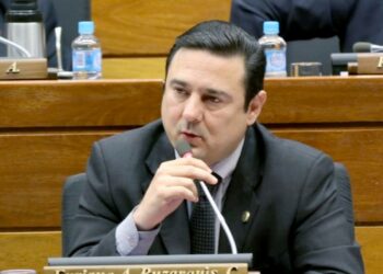 “Me parece injusto y perverso que se le sancione a la gente que paga cuatro veces más". dijo Buzarquis. Fuente: Senado Paraguay.
