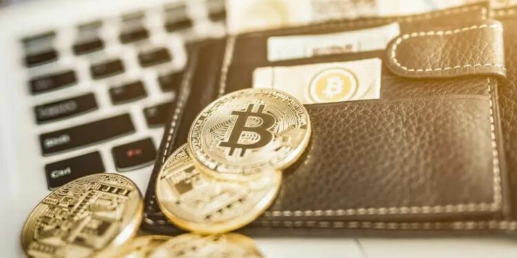 Proton apunta a que los usuarios puedan operar con bitcoin resguardando su privacidad. Fuente: Composición por CriptoNoticias. Fuentes: redpixel / stock.adobe.com.