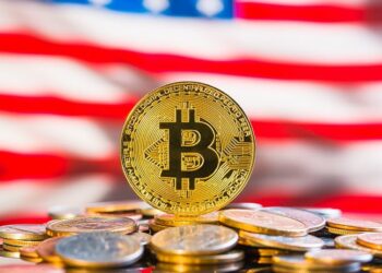 Estados Unidos se muestra como un factor de impacto para el mercado de bitcoin. Fuente:  jirkaejc / elements.envato.com.